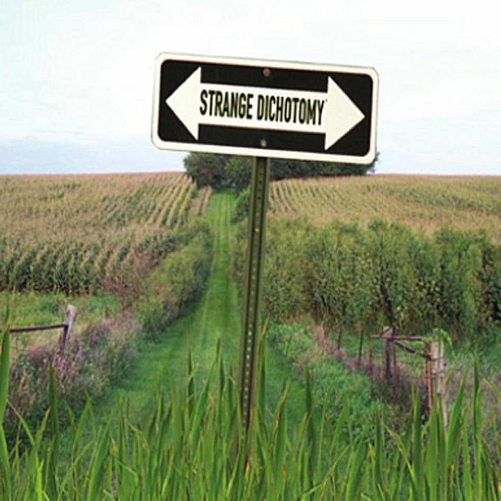 A strange dichotomy…