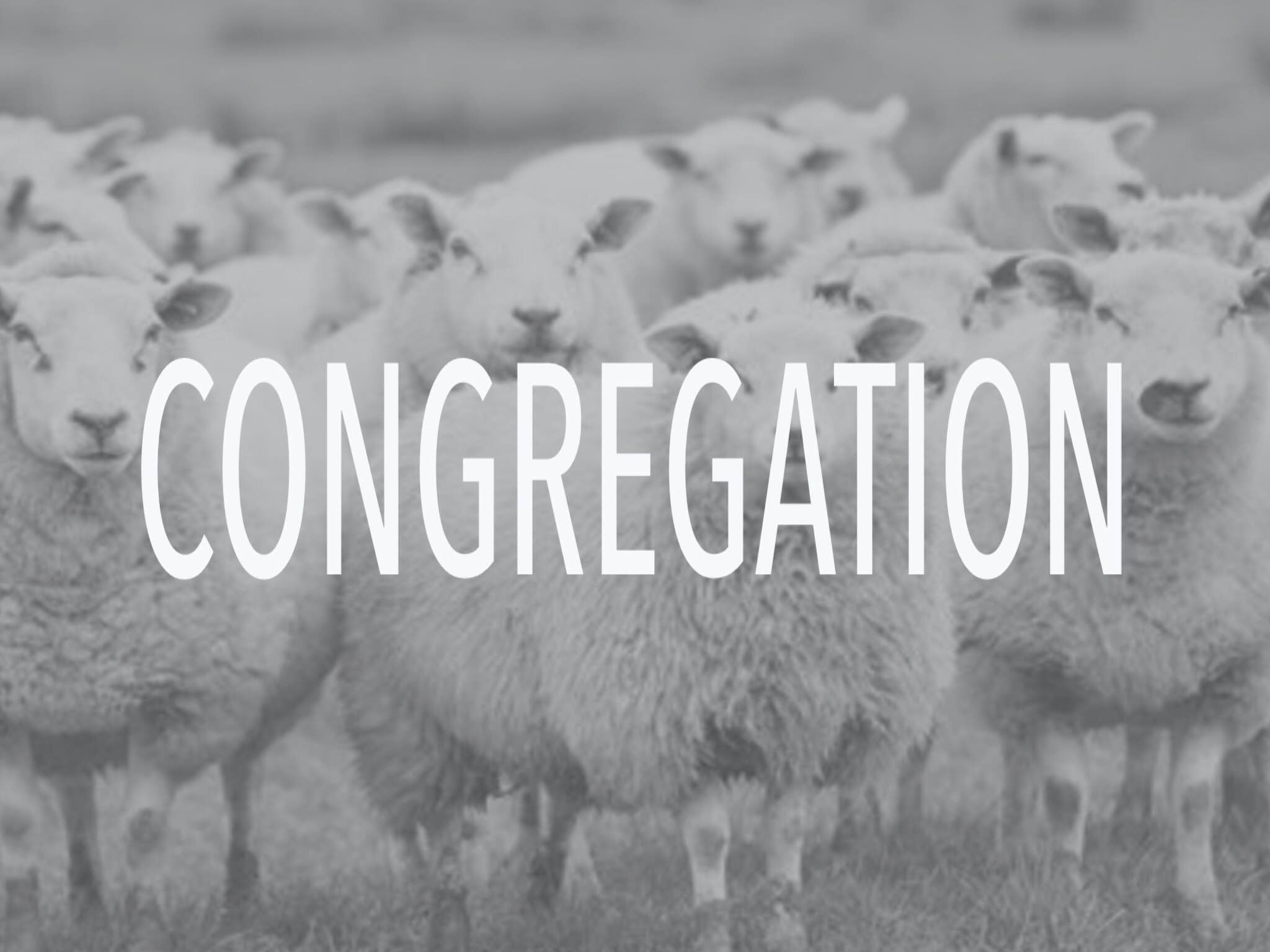 The Congregation