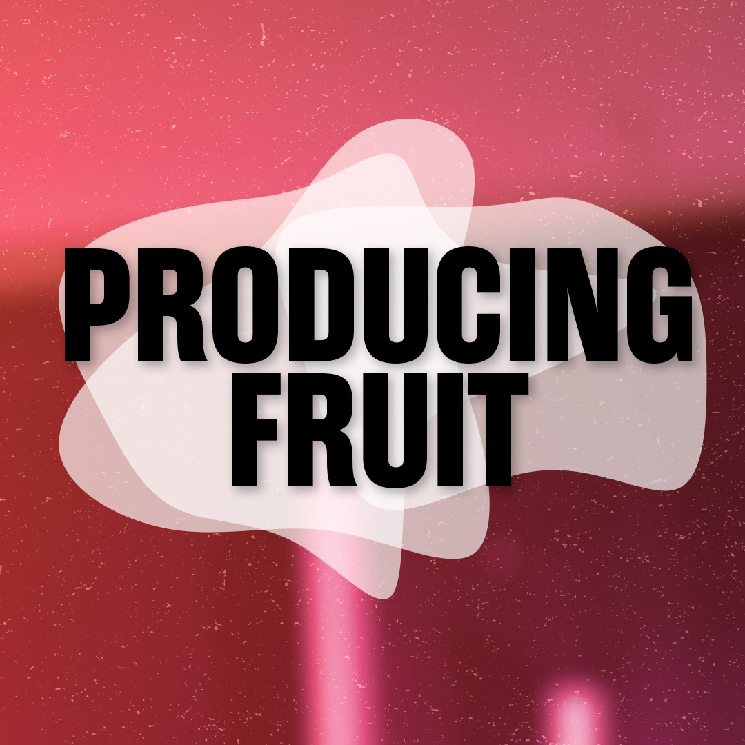 Producing Fruit - Made For More