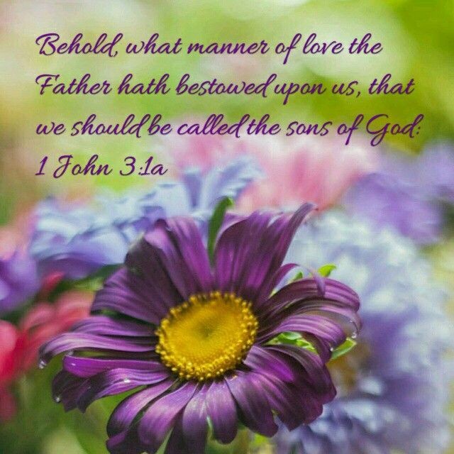 You Are More Than Enough!