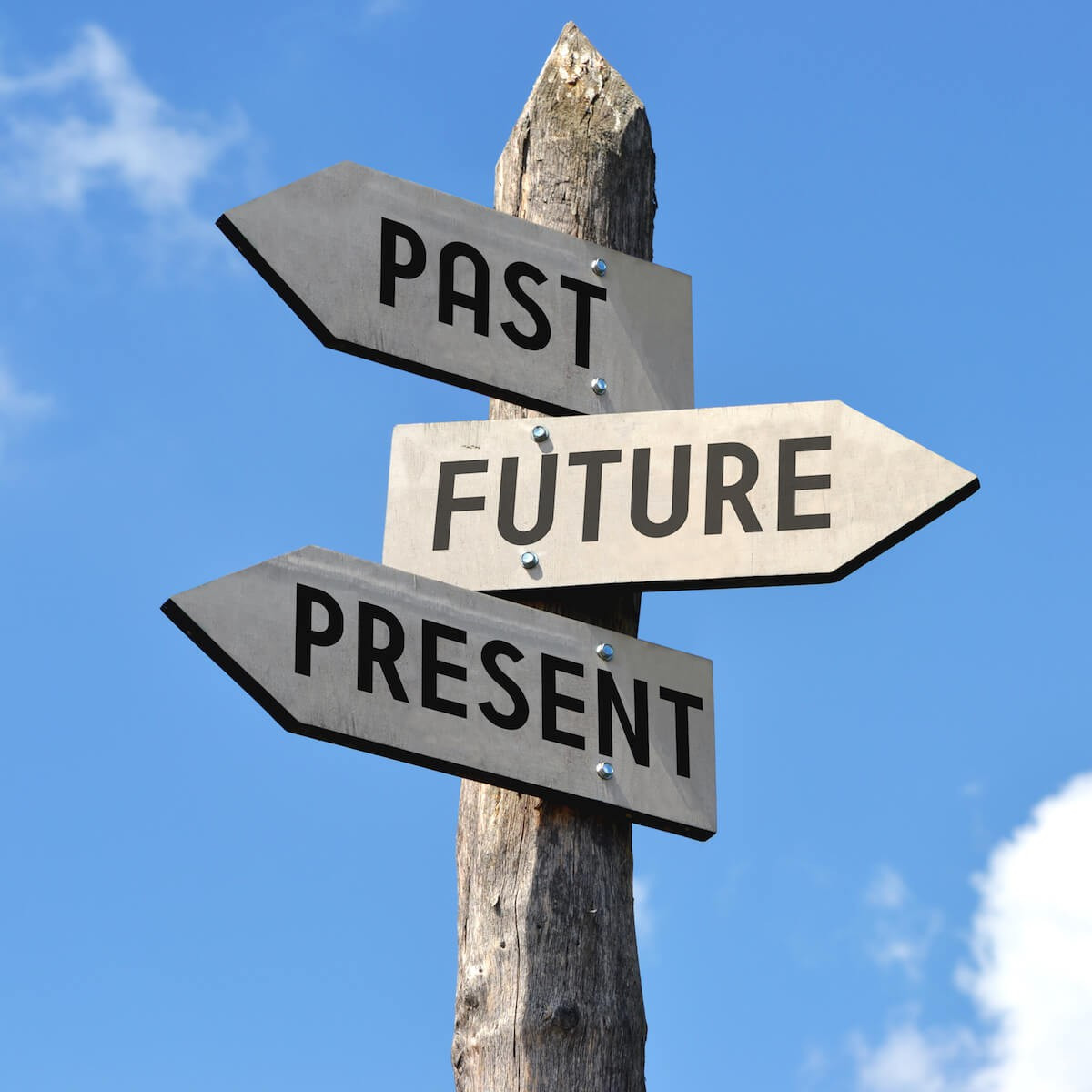 文化財の現在過去・未来 = The Past,Present,and Futu… 文化財の現在過去・未来 = The Past,Present,and Futu…