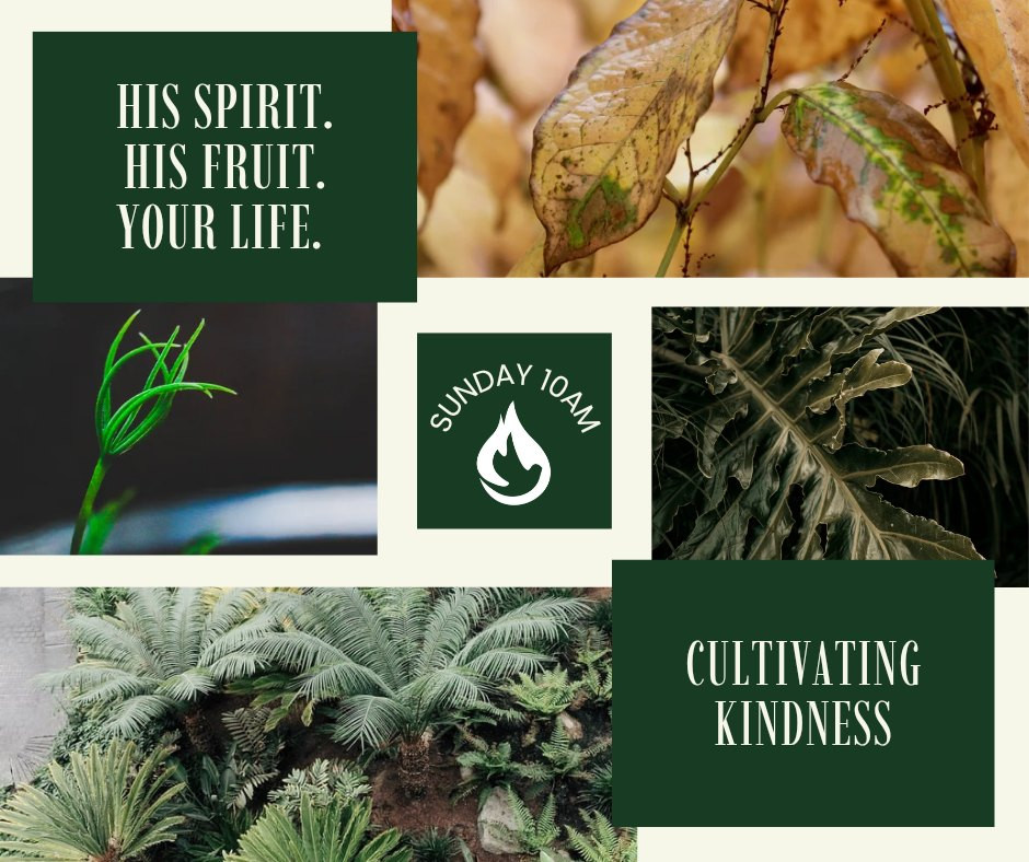 His Spirit, His Fruit, Your Life - KINDNESS His Spirit, His Fruit, Your Life - KINDNESS
