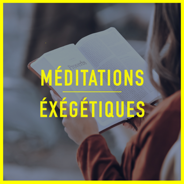 Méditations exégétiques