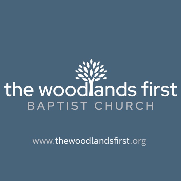 The-Woodlands-FirstThe Woodlands First