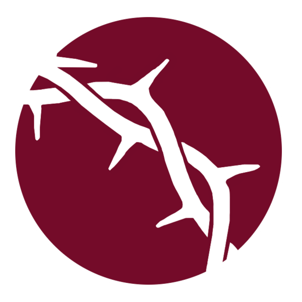 grace-community-church-of-laredo-podcastGrace Community Church of Laredo's Podcast