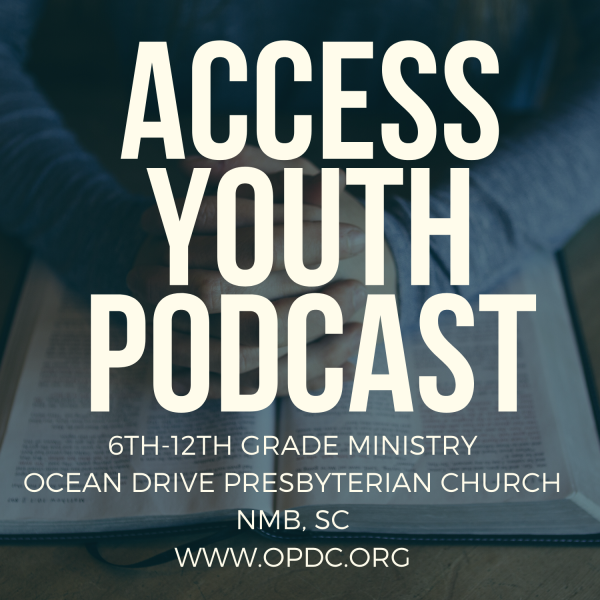 ACCESS YOUTH'S Podcast