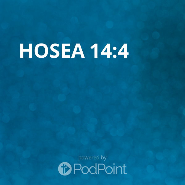 john-213-25John 2:13-25