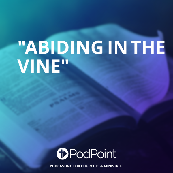 Abiding In The Vine