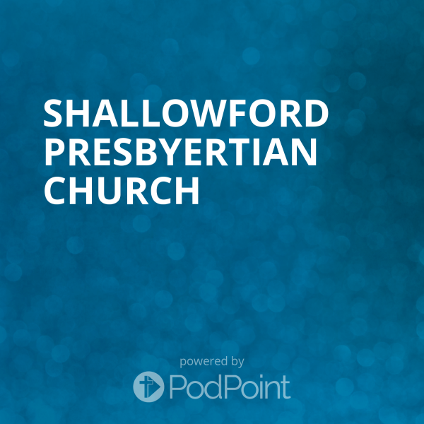 Shallowford Voices Shallowford Voices